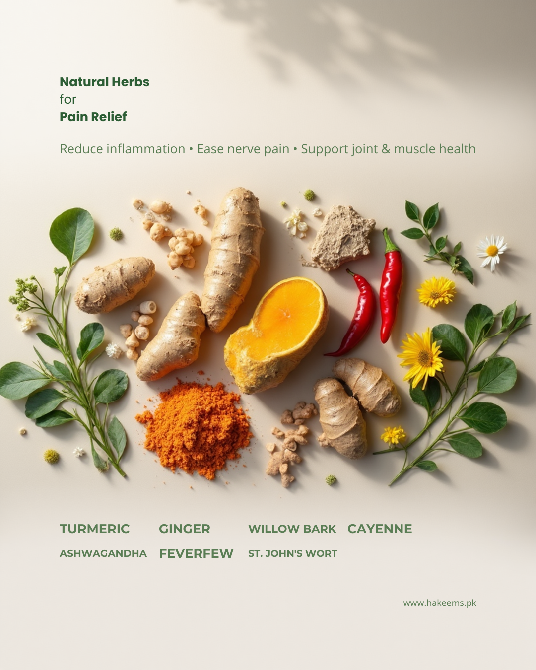 درد کے لیے جڑی بوٹیاں (Herbs for Pain)